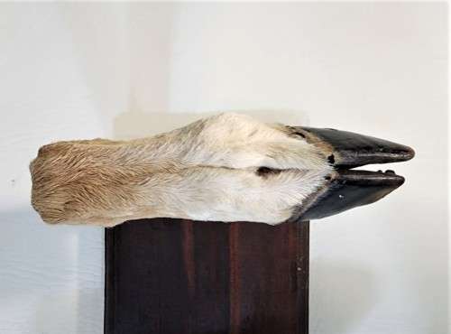 VINTAGE IMPALA FEET COAT HANGER OR GUN RACK