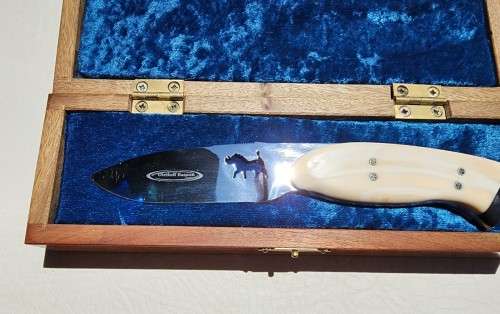 DIETLOFF BASSON WARTHOG TUSK HANDLE FIXED BLADE KNIFE IN CUSTOM WOODEN VELVET LINED BOX  SPOTLESS