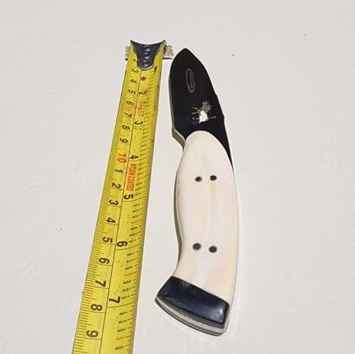 DIETLOFF BASSON WARTHOG TUSK HANDLE FIXED BLADE KNIFE IN CUSTOM WOODEN VELVET LINED BOX  SPOTLESS