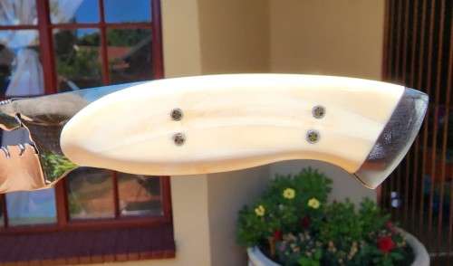 DIETLOFF BASSON WARTHOG TUSK HANDLE FIXED BLADE KNIFE IN CUSTOM WOODEN VELVET LINED BOX  SPOTLESS