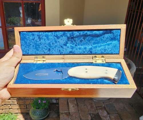 DIETLOFF BASSON WARTHOG TUSK HANDLE FIXED BLADE KNIFE IN CUSTOM WOODEN VELVET LINED BOX  SPOTLESS