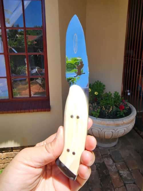DIETLOFF BASSON WARTHOG TUSK HANDLE FIXED BLADE KNIFE IN CUSTOM WOODEN VELVET LINED BOX  SPOTLESS