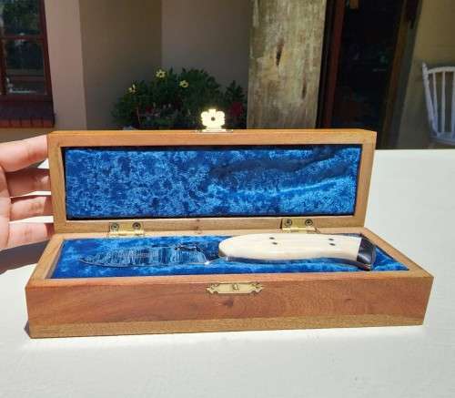 DIETLOFF BASSON WARTHOG TUSK HANDLE FIXED BLADE KNIFE IN CUSTOM WOODEN VELVET LINED BOX  SPOTLESS