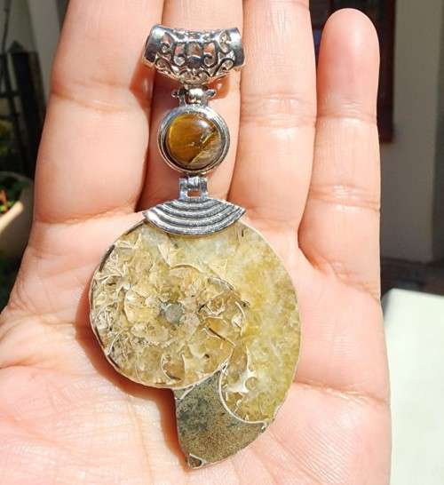 POLISHED AMMONITE FOSSIL WITH A PROTECTIVE TIGER EYE GEMSTONE PENDANT
