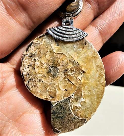POLISHED AMMONITE FOSSIL WITH A PROTECTIVE TIGER EYE GEMSTONE PENDANT