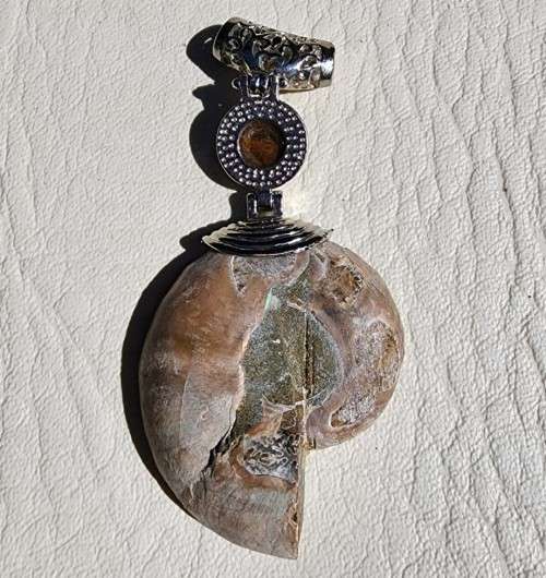 POLISHED AMMONITE FOSSIL WITH A PROTECTIVE TIGER EYE GEMSTONE PENDANT