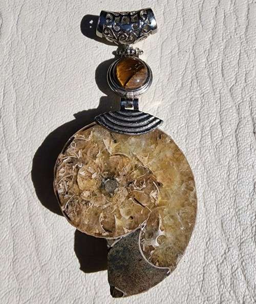 POLISHED AMMONITE FOSSIL WITH A PROTECTIVE TIGER EYE GEMSTONE PENDANT
