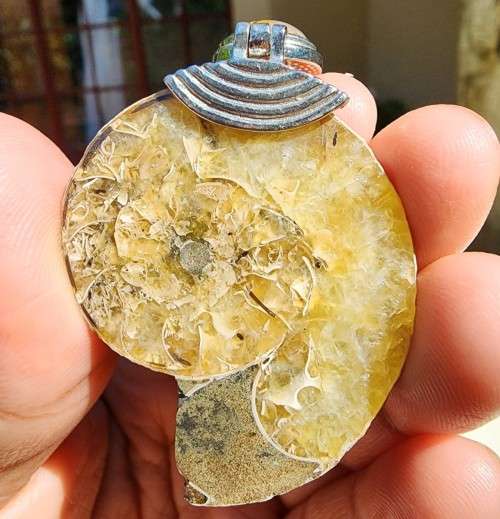 POLISHED AMMONITE FOSSIL WITH A PROTECTIVE TIGER EYE GEMSTONE PENDANT