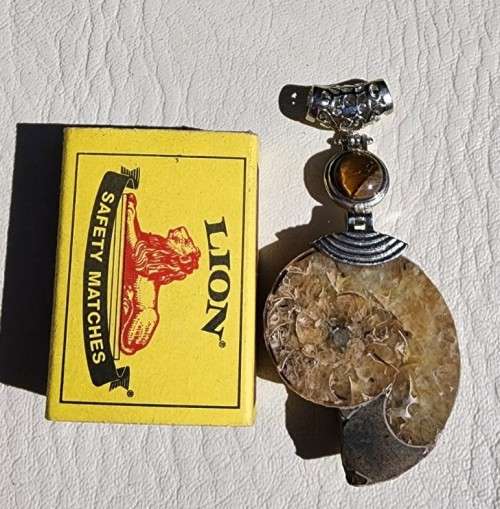 POLISHED AMMONITE FOSSIL WITH A PROTECTIVE TIGER EYE GEMSTONE PENDANT