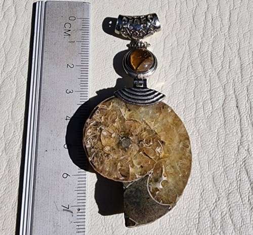 POLISHED AMMONITE FOSSIL WITH A PROTECTIVE TIGER EYE GEMSTONE PENDANT