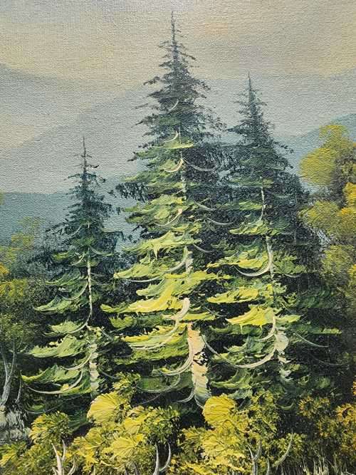 VINTAGE ORIGINAL MOUNTAIN RIVER AND PINE TREES LANDSCAPE OIL ON CANVAS BY `W JANY` LARGE 101CM W