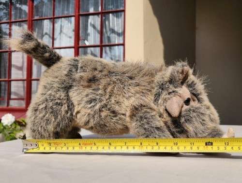 BORN IN SOUTH AFRICA A WARTHOG PLUSH TOY WITH WARTS AND ALL