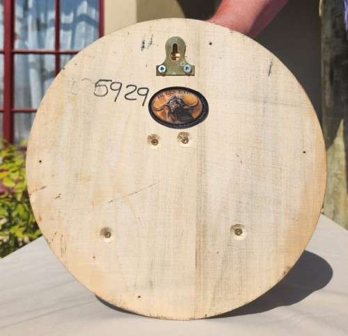 AWESOME BUSHPIG SKULL MOUNTED  ALSO SEE MY WARTHOG TUSKS ON AUCTION