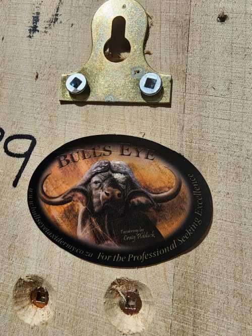 AWESOME BUSHPIG SKULL MOUNTED  ALSO SEE MY WARTHOG TUSKS ON AUCTION