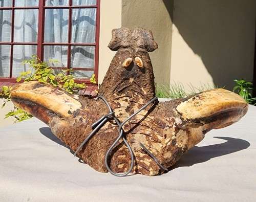 HUGE SET OF WARTHOG TUSKS  ALSO SEE MY WARTHOG SKULL ON AUCTION