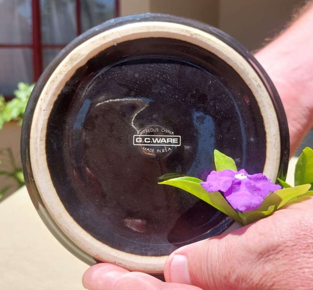 MONIS 1961 COLLECTORS PORT PAARL 300 YEAR ANNIVERSARY LIMITED EDITION RARE 5TH OF 5