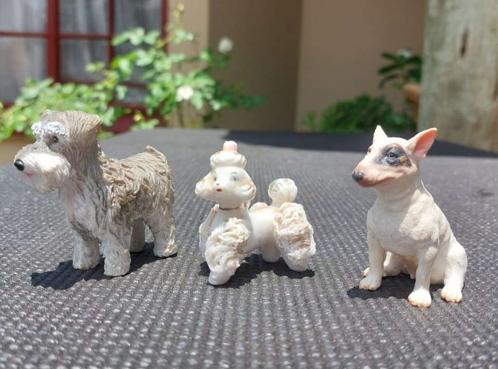 BULL TERRIER COLECTA FEMALE WHISKERED GERMAN SCHNAUZER AND AN ELEGANT PORCELAIN POODLE