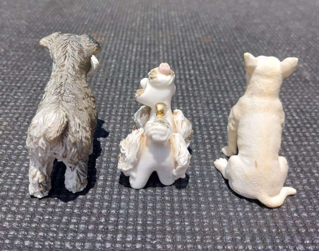 BULL TERRIER COLECTA FEMALE WHISKERED GERMAN SCHNAUZER AND AN ELEGANT PORCELAIN POODLE