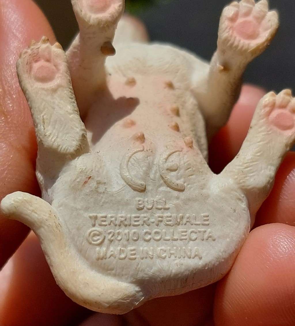 BULL TERRIER COLECTA FEMALE WHISKERED GERMAN SCHNAUZER AND AN ELEGANT PORCELAIN POODLE