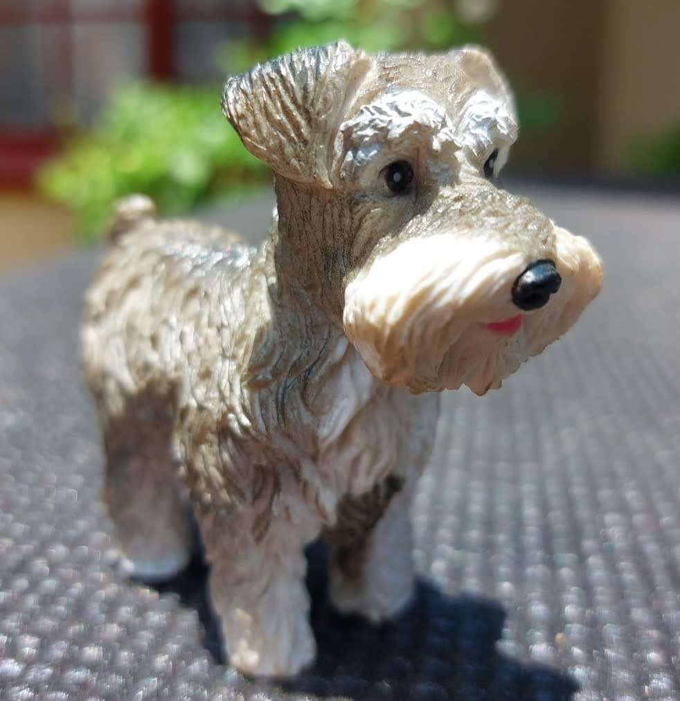 BULL TERRIER COLECTA FEMALE WHISKERED GERMAN SCHNAUZER AND AN ELEGANT PORCELAIN POODLE