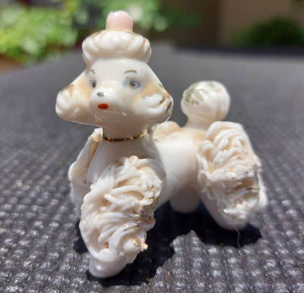 BULL TERRIER COLECTA FEMALE WHISKERED GERMAN SCHNAUZER AND AN ELEGANT PORCELAIN POODLE