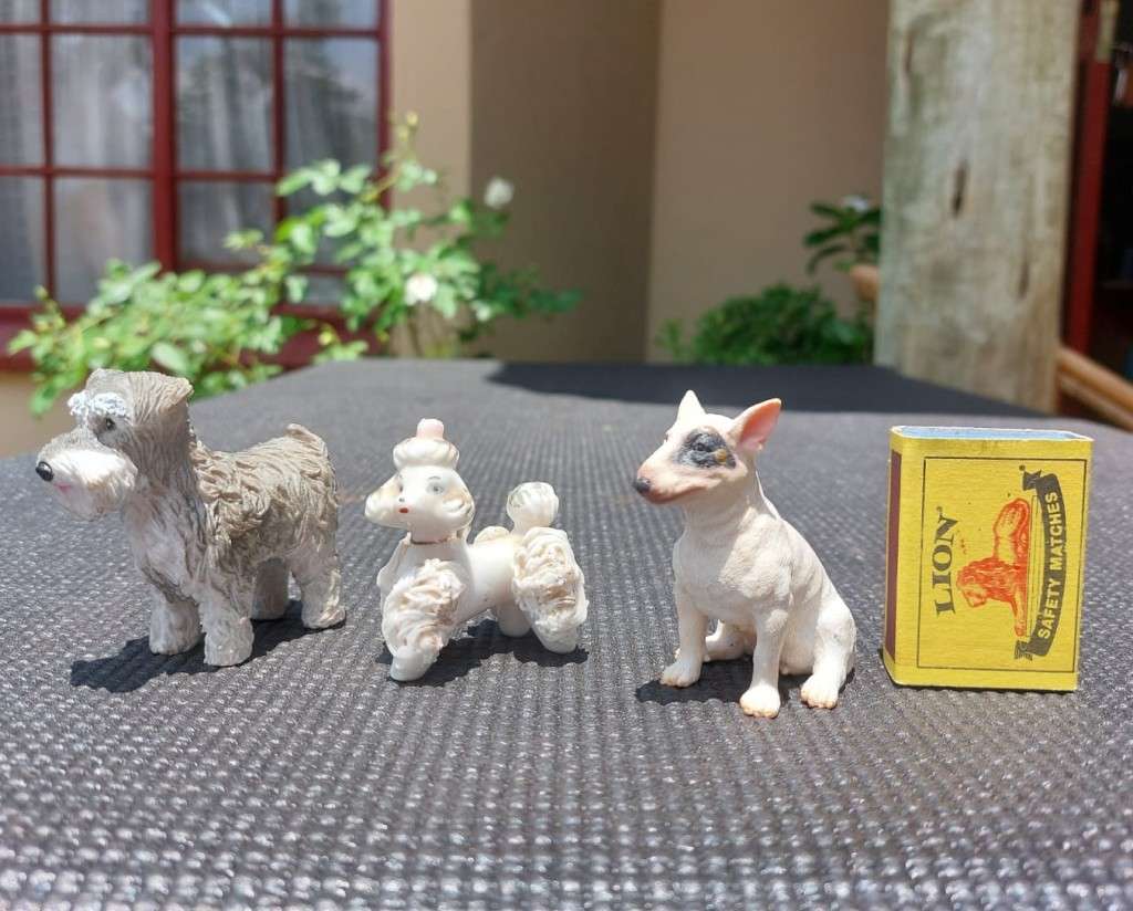 BULL TERRIER COLECTA FEMALE WHISKERED GERMAN SCHNAUZER AND AN ELEGANT PORCELAIN POODLE