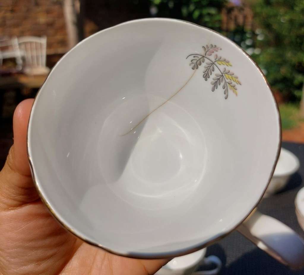 VINTAGE 1950S TUSCAN FINE ENGLISH BONE CHINA WINDSWEPT PATTERN 18 PIECE TEASET