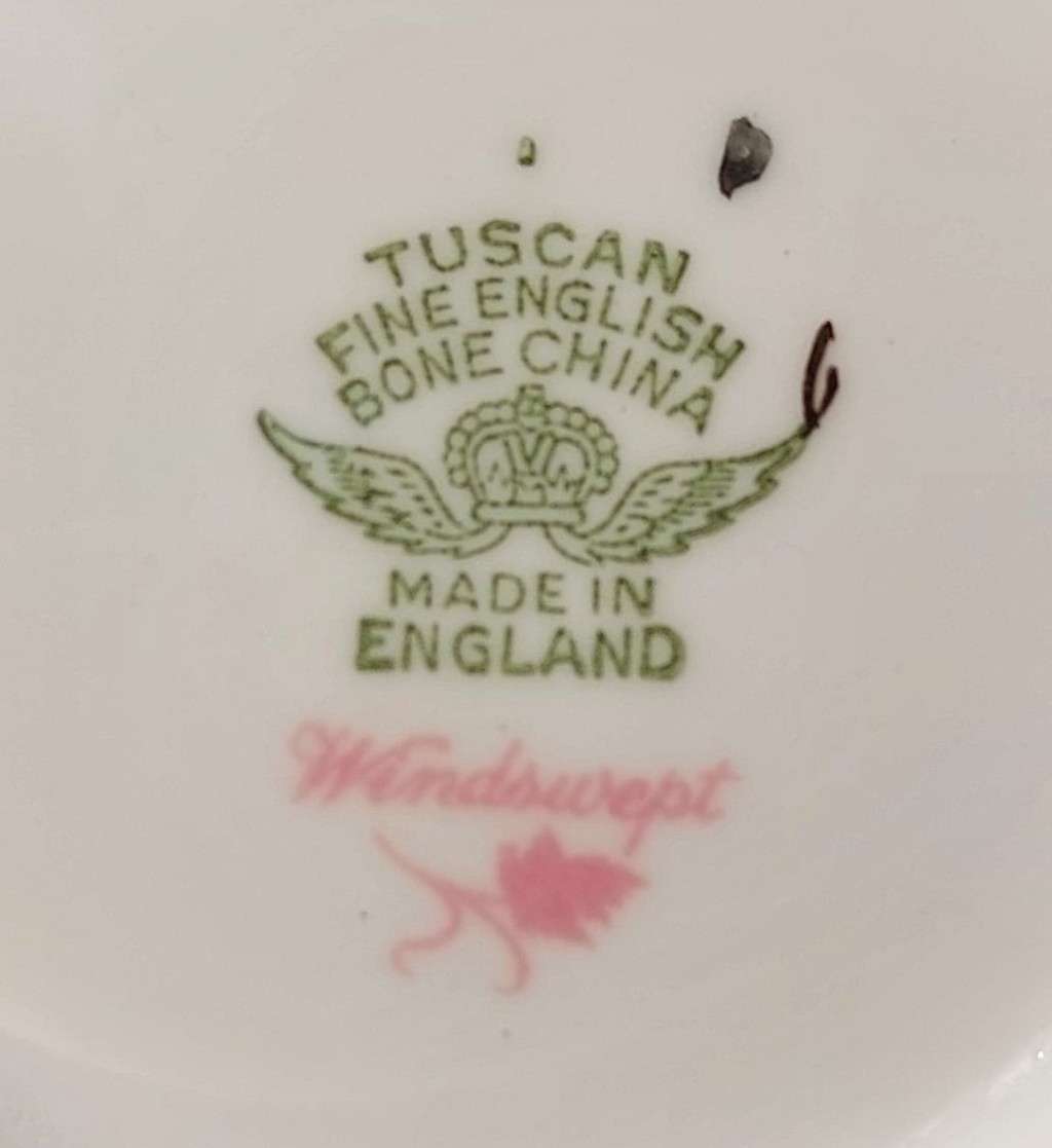 VINTAGE 1950S TUSCAN FINE ENGLISH BONE CHINA WINDSWEPT PATTERN 18 PIECE TEASET