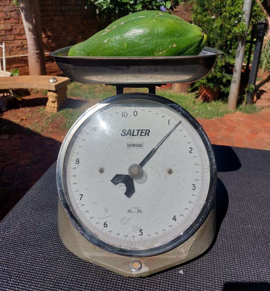SALTER ENGLAND 10KGx20G MECHANICAL SCALE HUGE 35CM HIGH MODEL 40A VINTAGE 1980S
