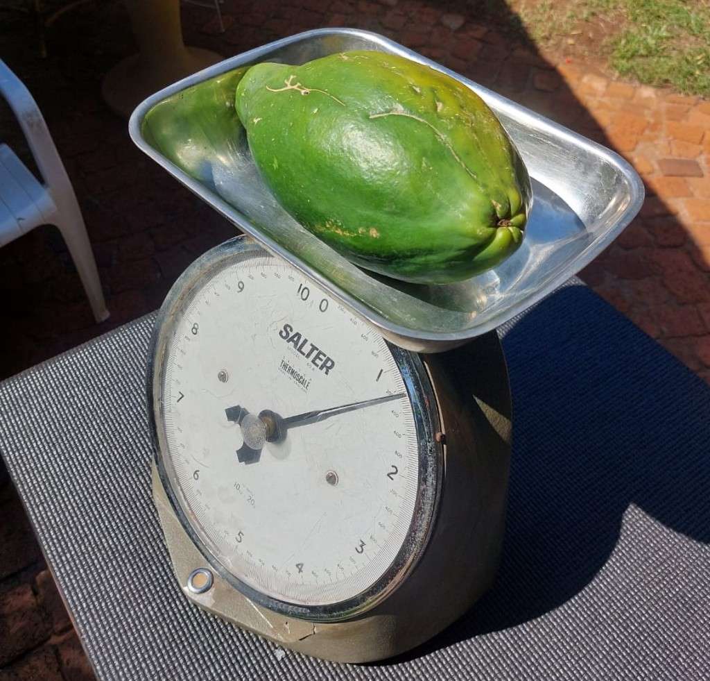 SALTER ENGLAND 10KGx20G MECHANICAL SCALE HUGE 35CM HIGH MODEL 40A VINTAGE 1980S