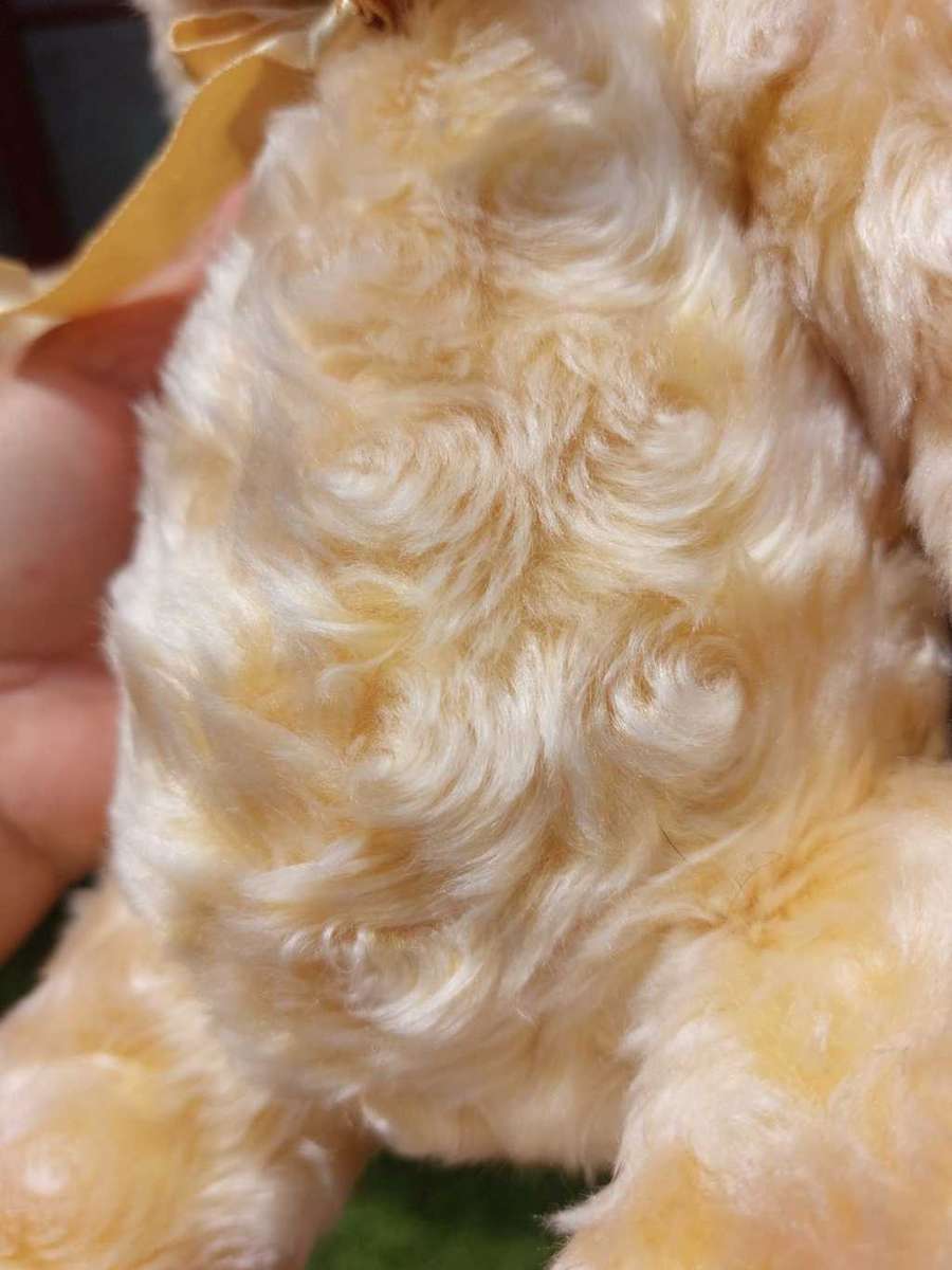 CUTE 35CM HIGH GOSGROVE RUSS BERRIE USA PLUSH BEAR