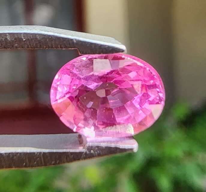 GORGEOUS PINK 1.61CT SAPPHIRE WITH GISA CERTIFICATE AND LOVELY OVAL CUT  UV RED!  THERMAL HIGH