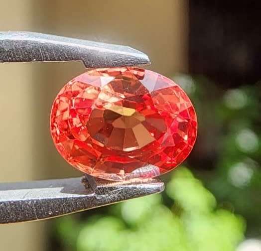 FIRE ORANGE 1.45CT SAPPHIRE GEMSTONE WITH LOVELY OVAL CUT  UV RED!  THERMAL HIGH