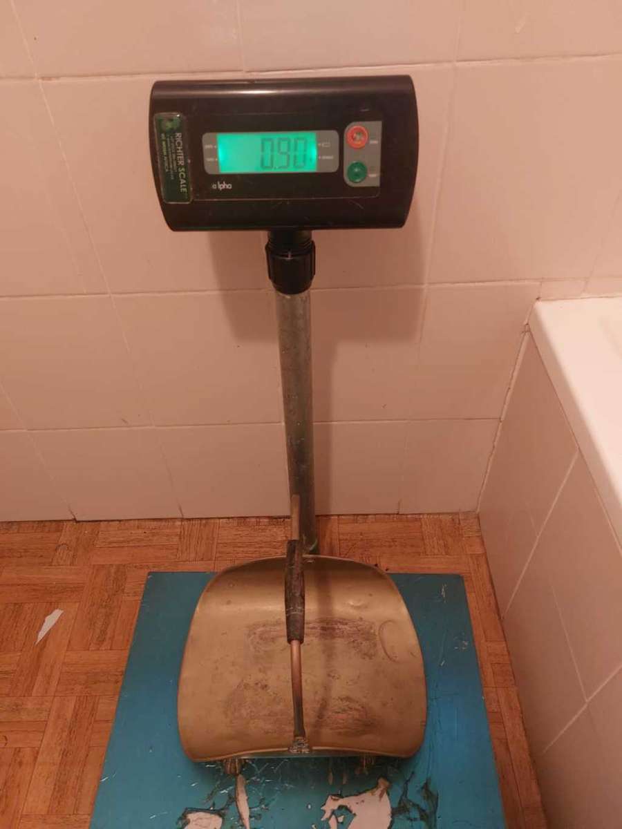 Elegant Vintage 1970s Brass Fireplace Log Holder with Lions Paw Feet and Swing Hinged Handle