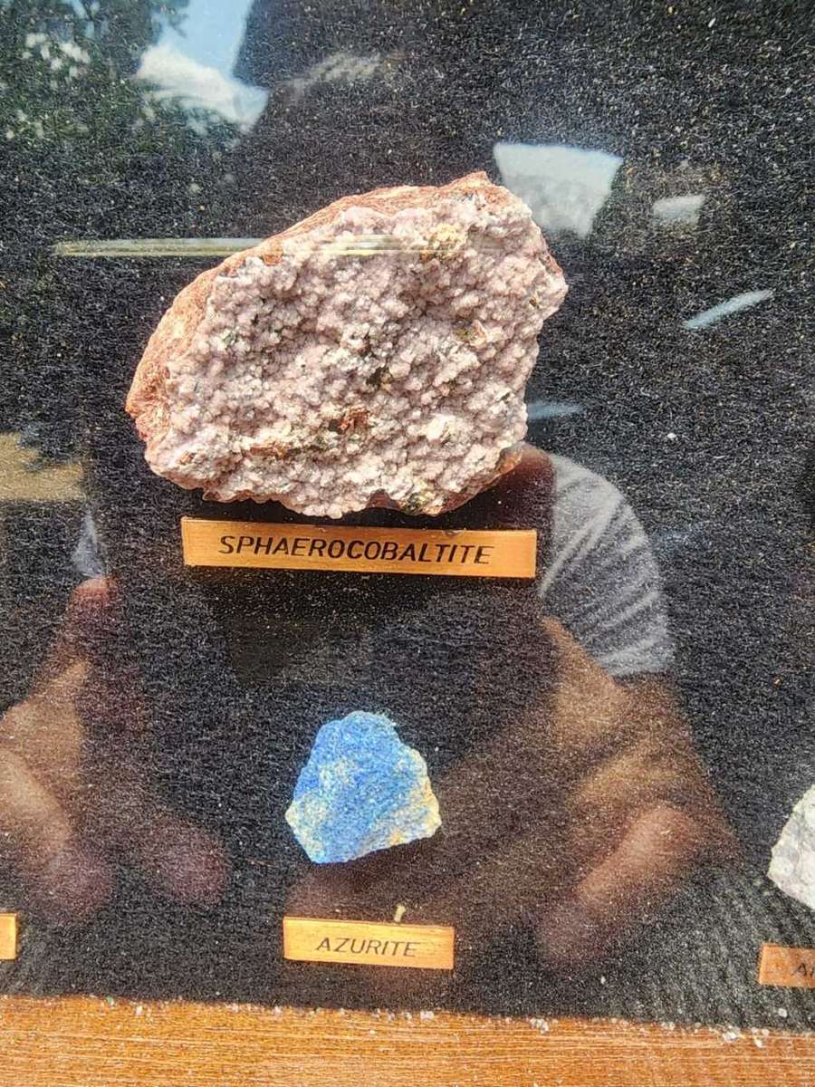 Beautiful ROCK and MINERAL Collection in Wooden Display Cabinet