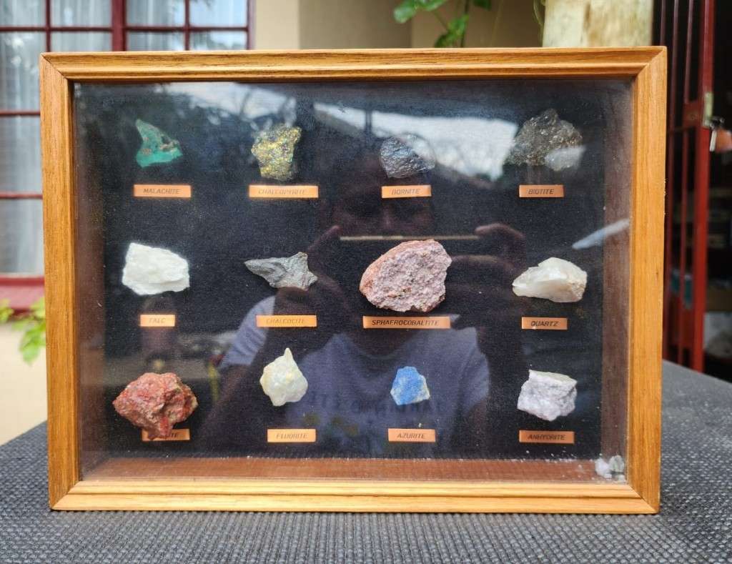 Beautiful ROCK and MINERAL Collection in Wooden Display Cabinet