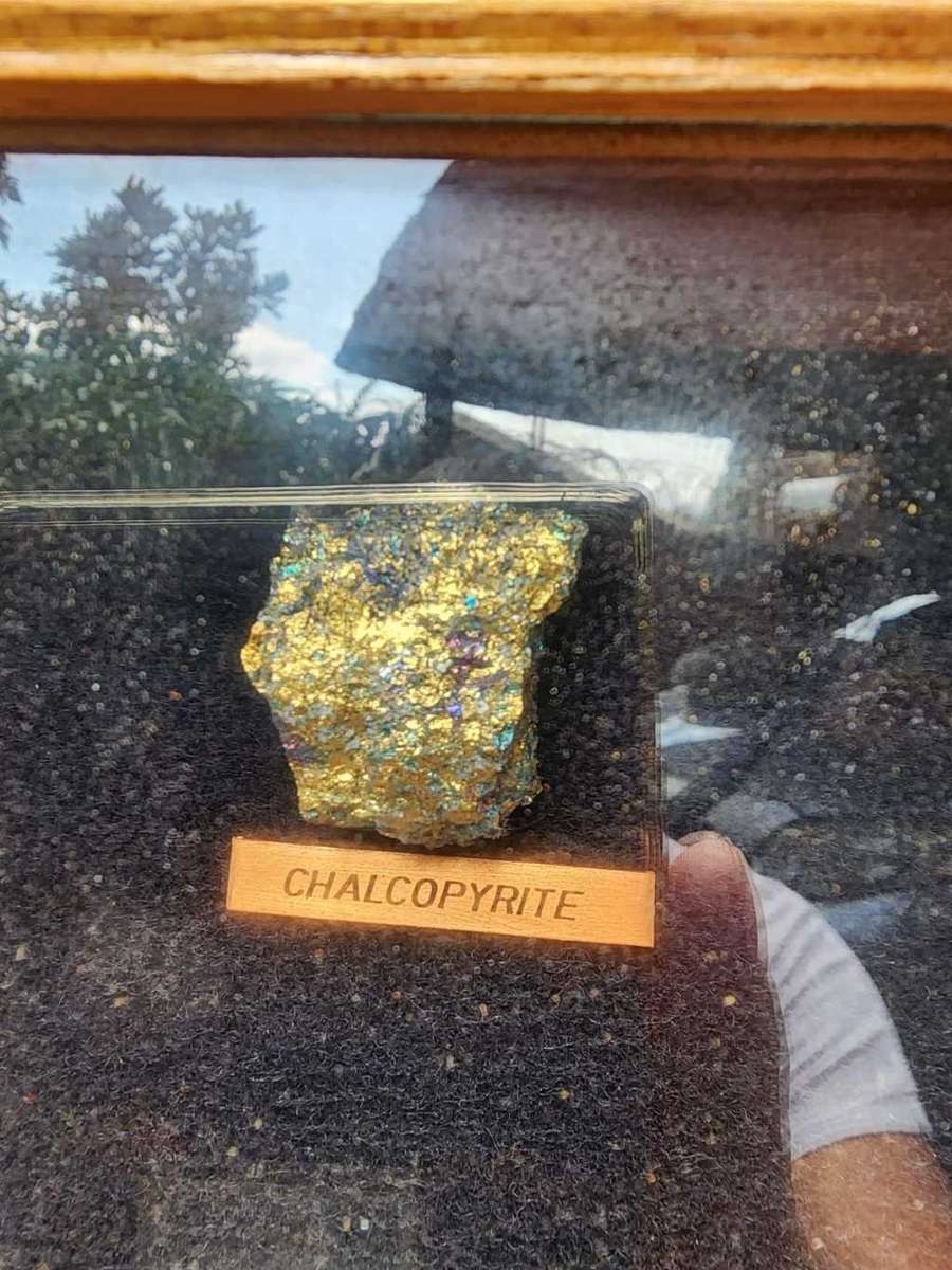 Beautiful ROCK and MINERAL Collection in Wooden Display Cabinet