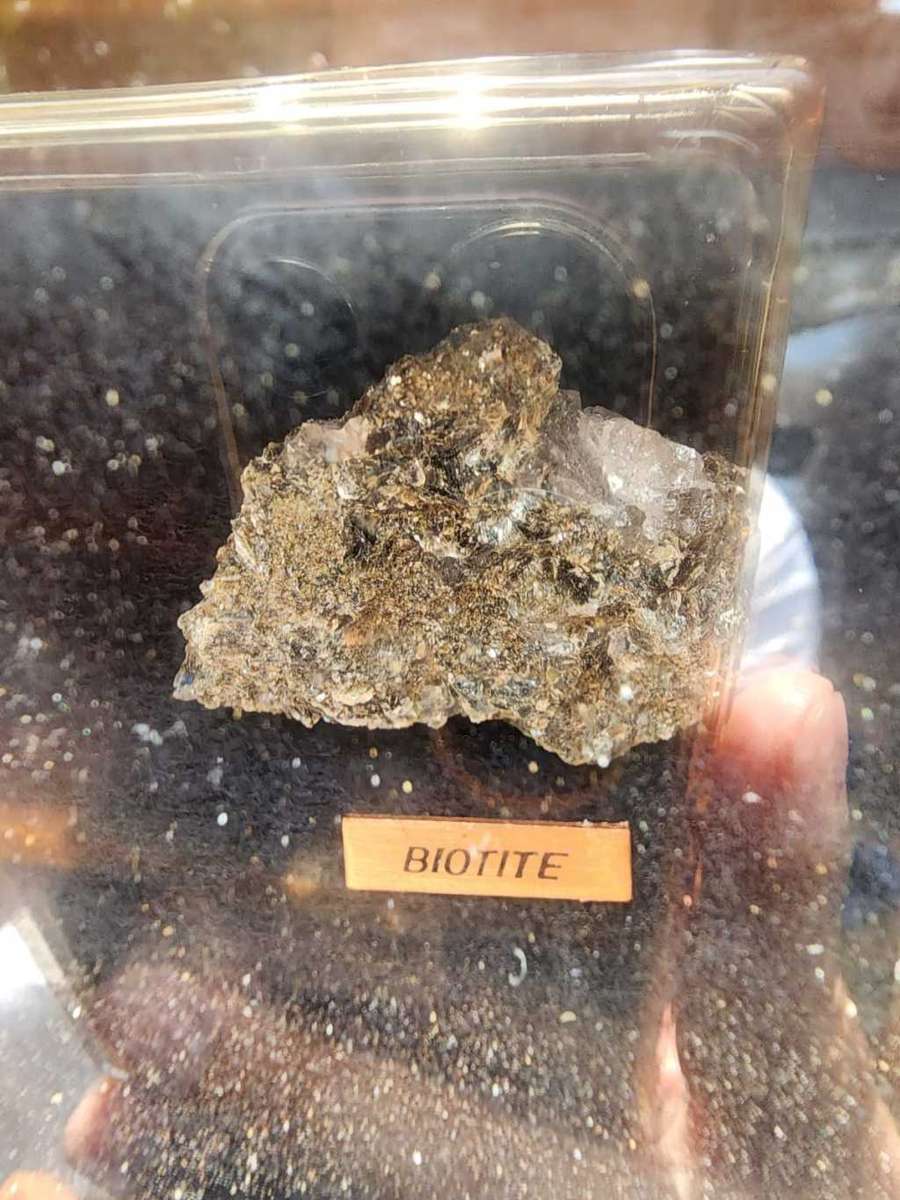 Beautiful ROCK and MINERAL Collection in Wooden Display Cabinet