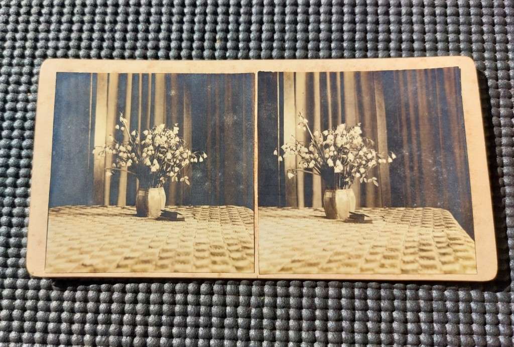 Carte de Visite 76 Old Photos from 1930s in an Old Cutlery Box