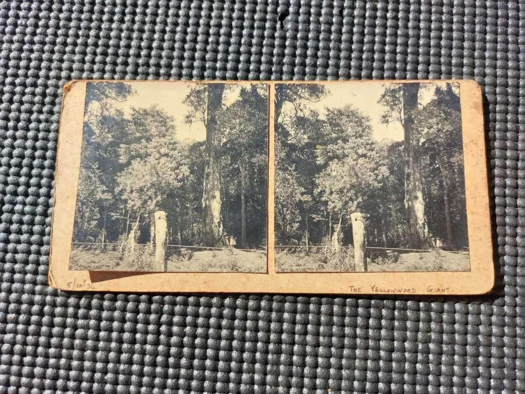 Carte de Visite 76 Old Photos from 1930s in an Old Cutlery Box