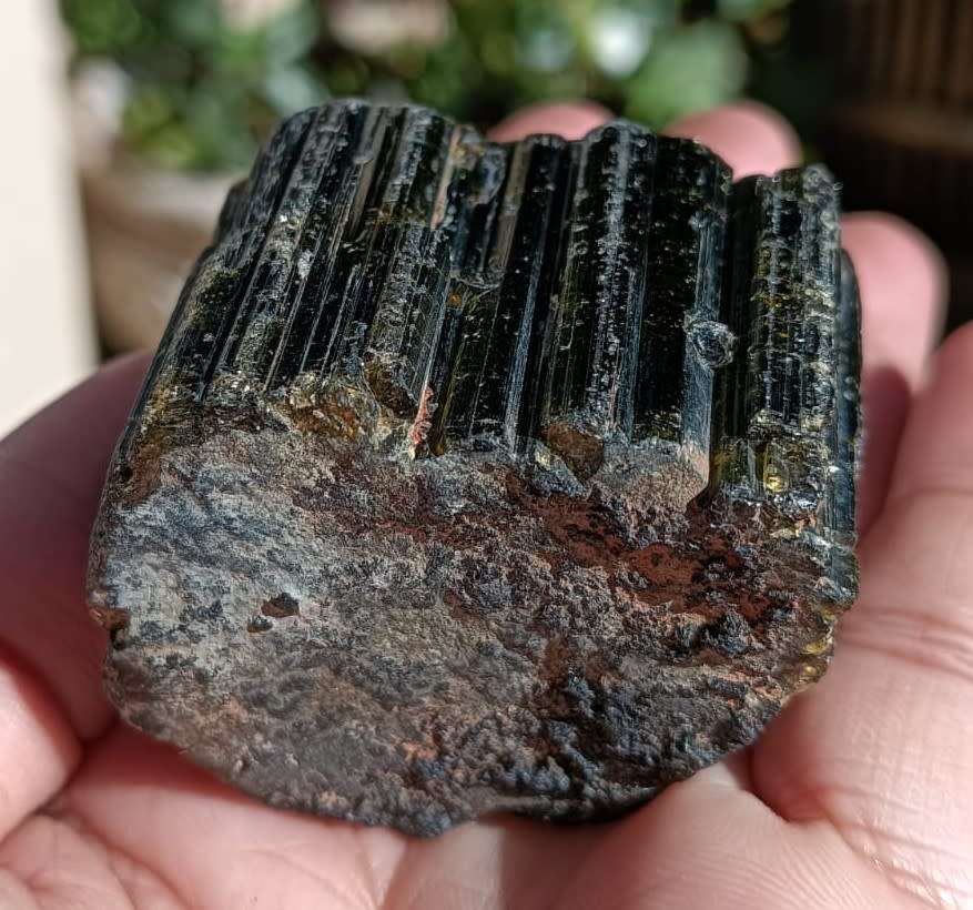 TWO BEAUTIFUL DARK GREEN (AKA BRAZILIAN EMERALD) TO BLACK (SCHORL) TOURMALINE ROUGH ROCK SAMPLES