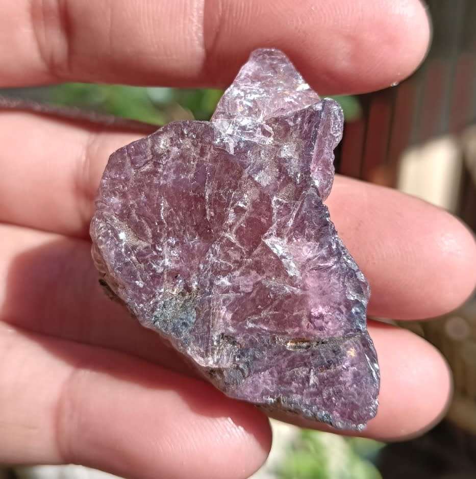 Two Mysterious Unidentified Purple Rock Samples