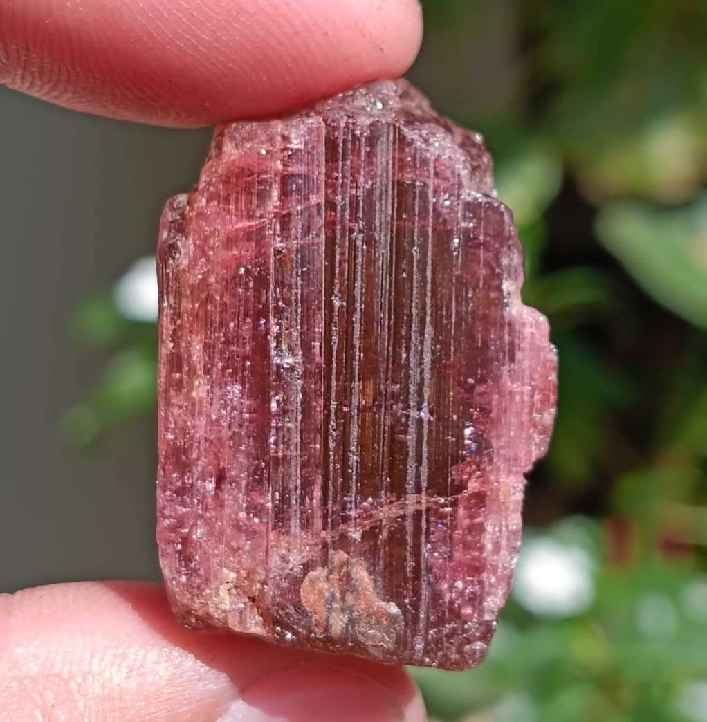 Two Mysterious Unidentified Purple Rock Samples