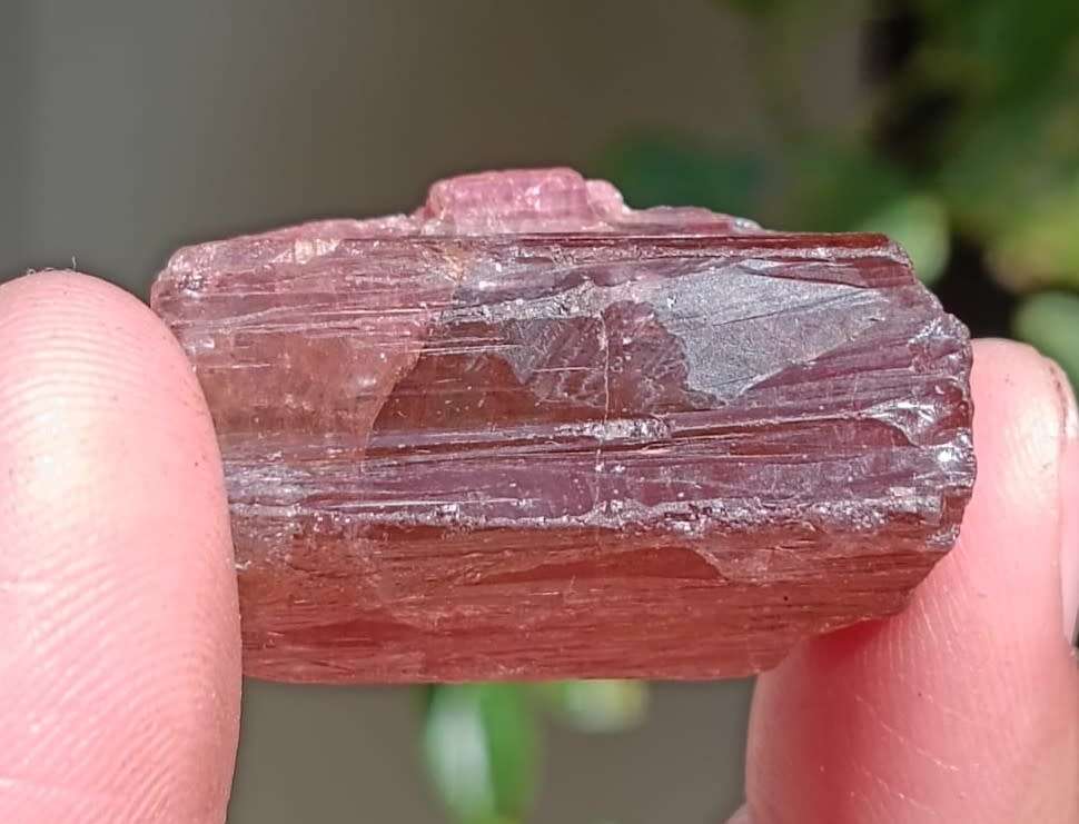 Two Mysterious Unidentified Purple Rock Samples