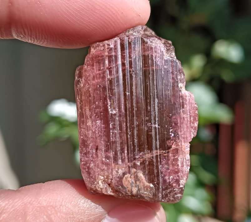 Two Mysterious Unidentified Purple Rock Samples