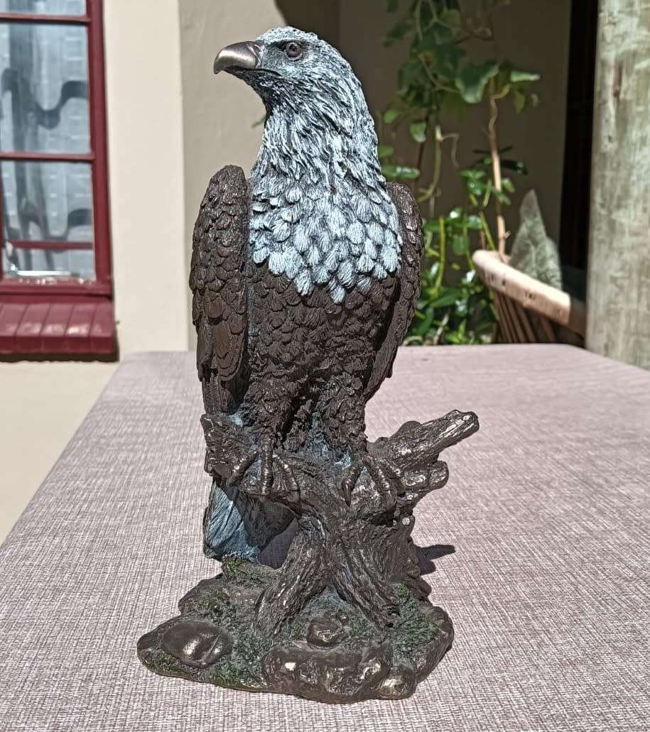 Glaring Cold Cast Bronze African Fish Eagle Sculpture Large 22cm High by Zawadi Knysna South Africa