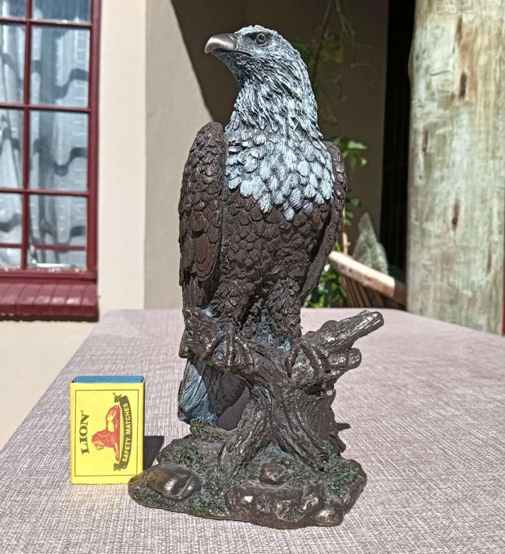 Glaring Cold Cast Bronze African Fish Eagle Sculpture Large 22cm High by Zawadi Knysna South Africa