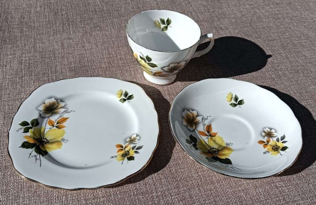 VINTAGE CROWN ROYAL (COLCLOUGH TRADEMARK) ENGLAND PORCELAIN TRIO AUTUMN FLORAL PATTERN