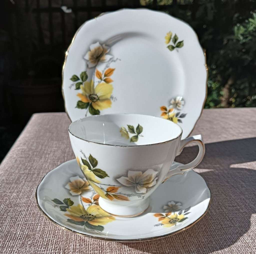 VINTAGE CROWN ROYAL (COLCLOUGH TRADEMARK) ENGLAND PORCELAIN TRIO AUTUMN FLORAL PATTERN