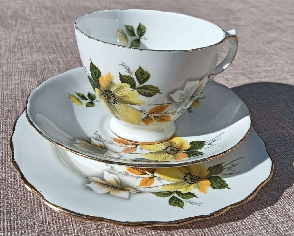 VINTAGE CROWN ROYAL (COLCLOUGH TRADEMARK) ENGLAND PORCELAIN TRIO AUTUMN FLORAL PATTERN